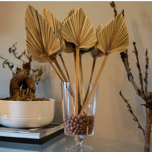 Dried Palm Leaves Pack of 5 Heart Oval Shape Dried Palm Spears - Picture 6 of 6